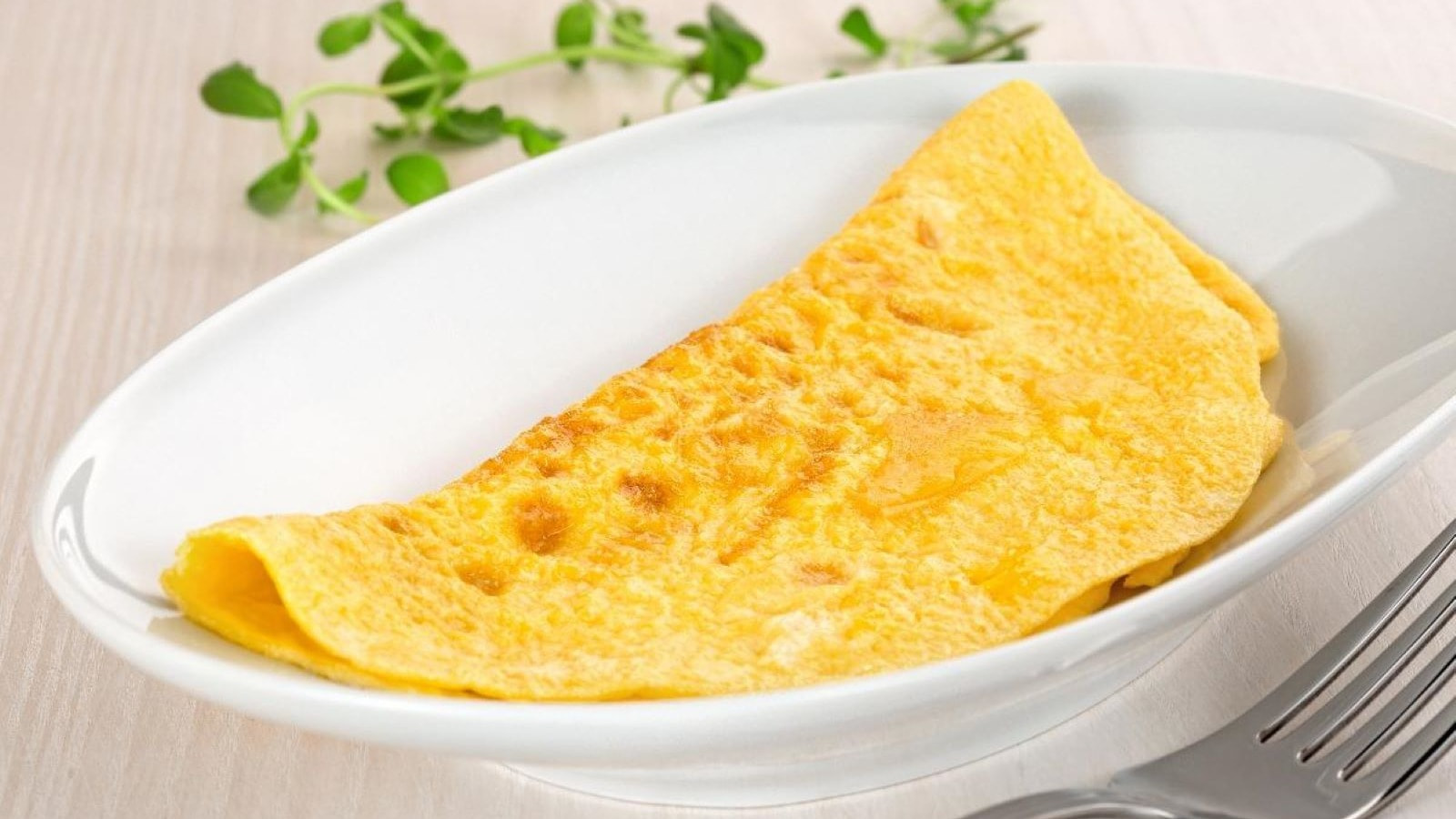 Egg Omelette
