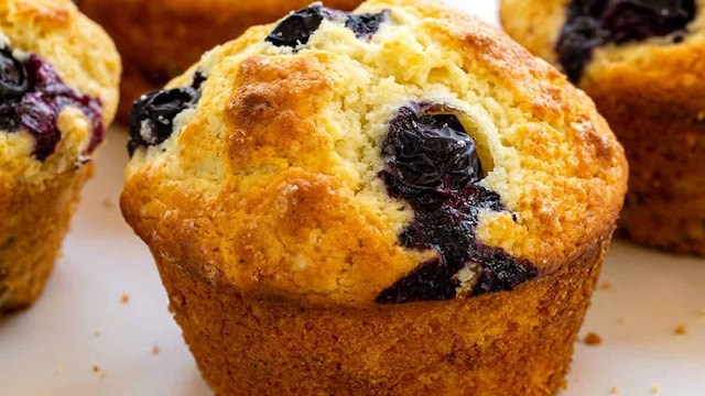 Blueberry Muffin